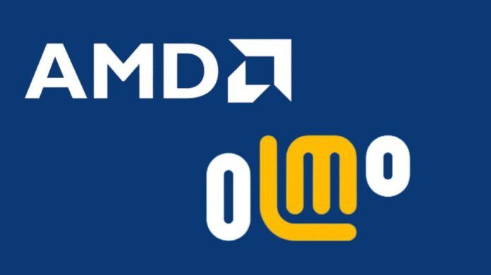 AMD OLMo