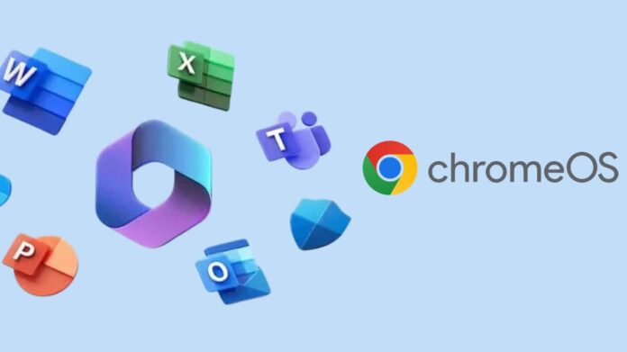 Microsoft office 365 web app